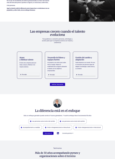diseñador web consultoria